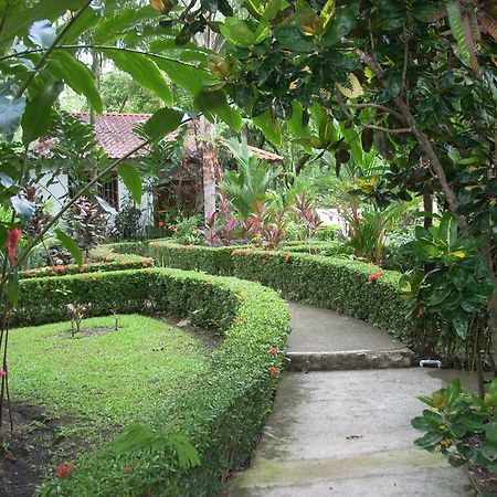La Palapa Ecolodge Portalón Εξωτερικό φωτογραφία