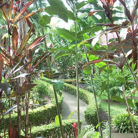 La Palapa Ecolodge Portalón Εξωτερικό φωτογραφία