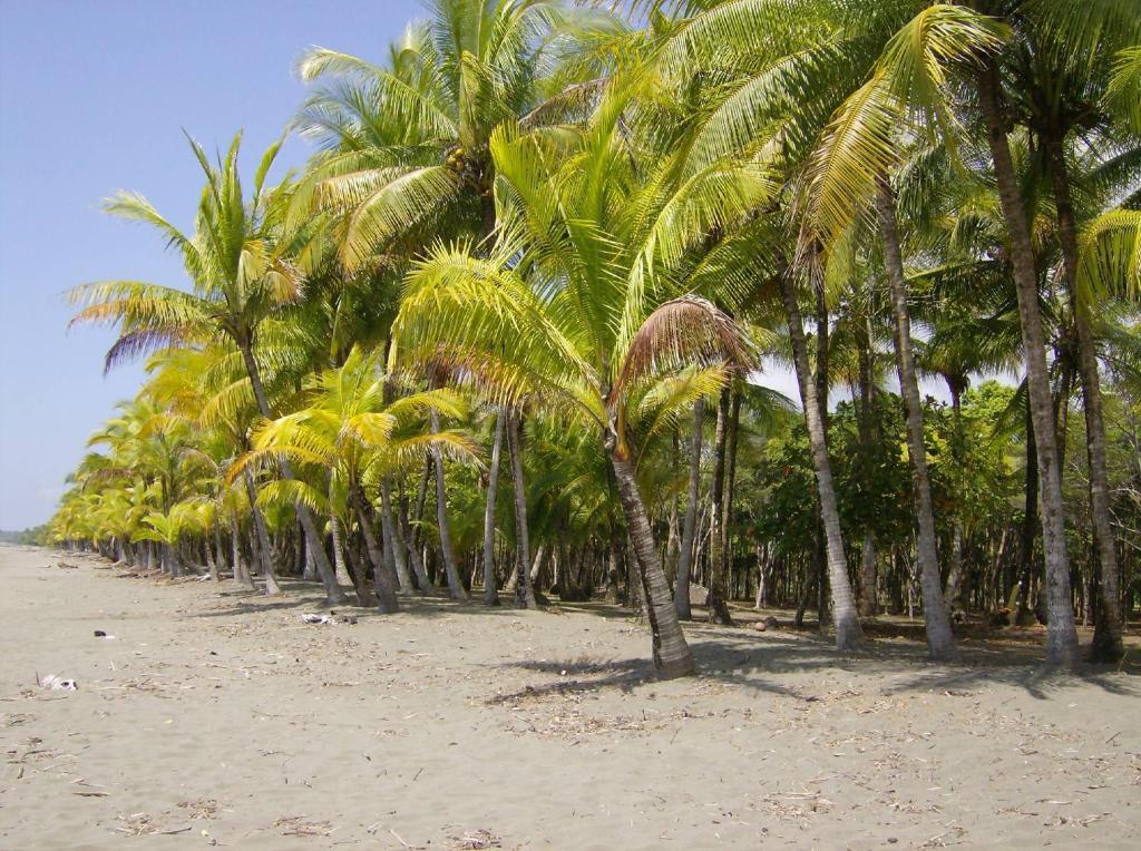 La Palapa Ecolodge Portalón Εξωτερικό φωτογραφία