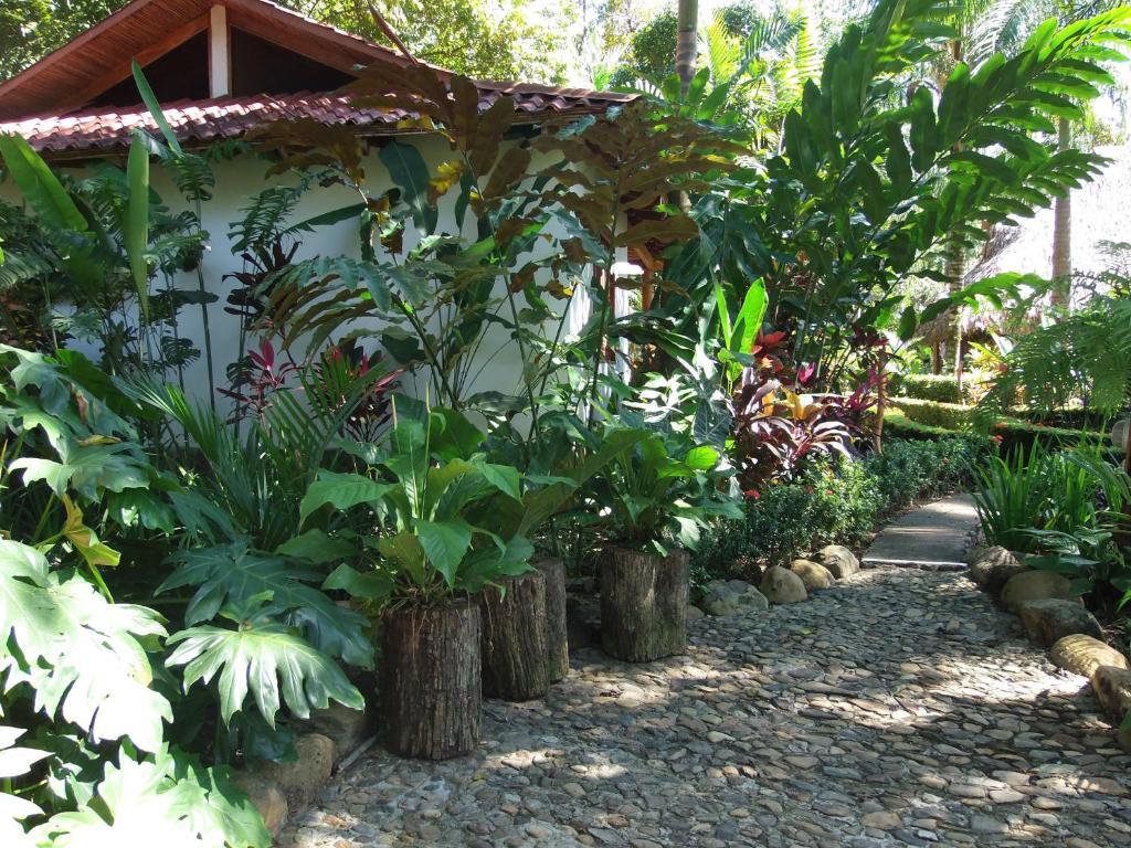 La Palapa Ecolodge Portalón Εξωτερικό φωτογραφία