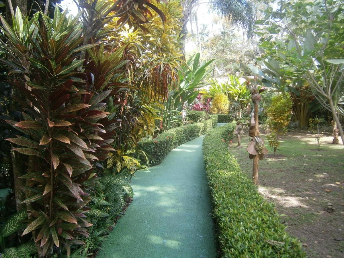 La Palapa Ecolodge Portalón Εξωτερικό φωτογραφία